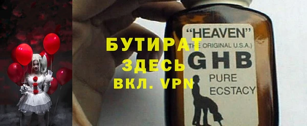 шишки Дубна