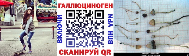 Псилоцибиновые грибы Psilocybe  закладка  omg ONION  Лесозаводск 